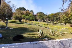 foto de CLINICA MASCULINA EM SÃO ROQUE PRA TRATAMENTO DE DROGAS E ALCOOLISMOS ESQUIZOFRENIA   ACEITAMOS CONVENIO PRA TRATAMENTO  